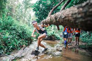 BIB: 
                            <button type="button" onclick="openModal(25372274)" class="btn btn-primary btn-sm float-right btn-popup" data-toggle="modal" data-target=".modal-high-quality">
                        <i class="fas fa-shopping-cart"></i> Add to Cart
                    </button>
                                            <button type="button" onclick="isThisMe(25372274, true)" class="btn btn-success btn-sm float-right btn-popup btn-isme hidden" data-toggle="tooltip" data-placement="bottom" title="นี่คือรูปของคุณใช่ไหม คลิกที่นี่เพื่อเอาเข้าอัลบั้ม">
                        <i class="fas fa-plus"></i> Add to album
                    </button>
                    <button type="button" onclick="isThisMe(25372274, false)" class="btn btn-warning btn-sm float-right btn-popup btn-isnotme hidden">
                        <i class="fas fa-ban"></i> Remove from album
                    </button>